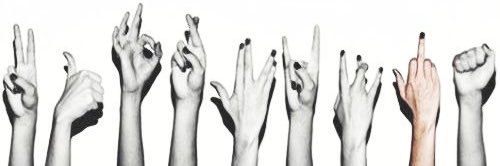 alexisdupler's profile banner image