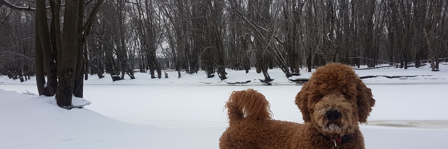mitchymac25's profile banner image