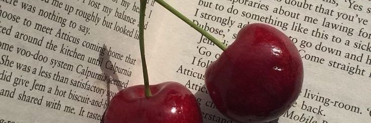 slice_of_life00's profile banner image