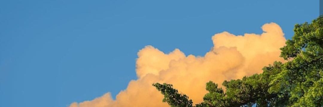 j_golda96's profile banner image
