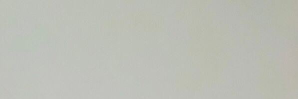 romanossauro's profile banner image