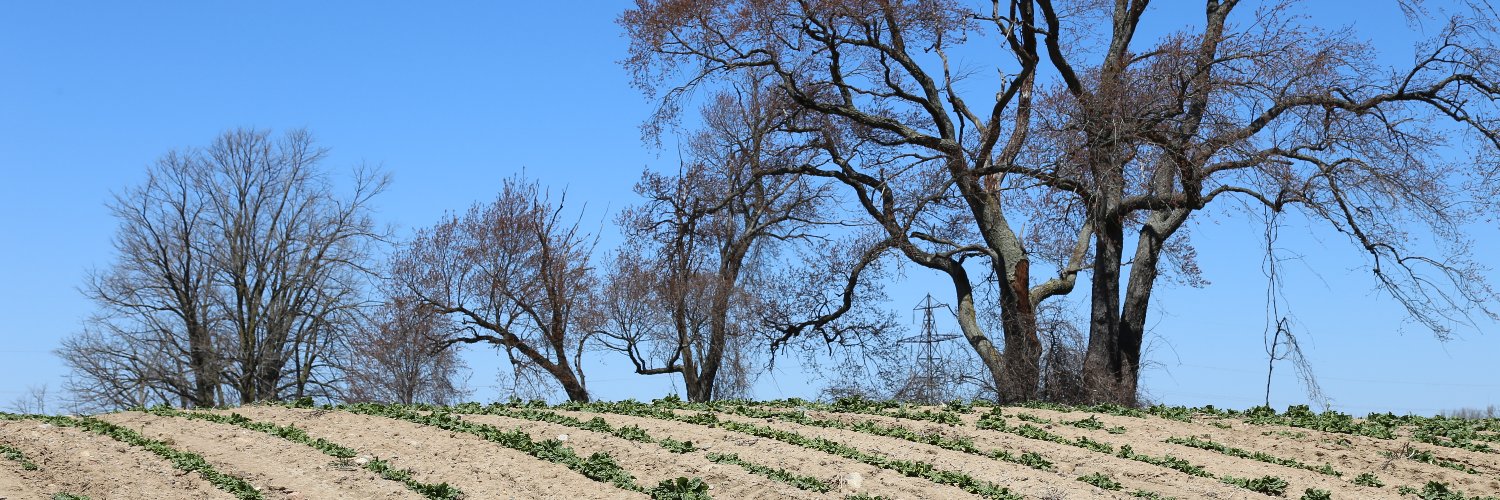 Jennifer🥕Pfenning banner