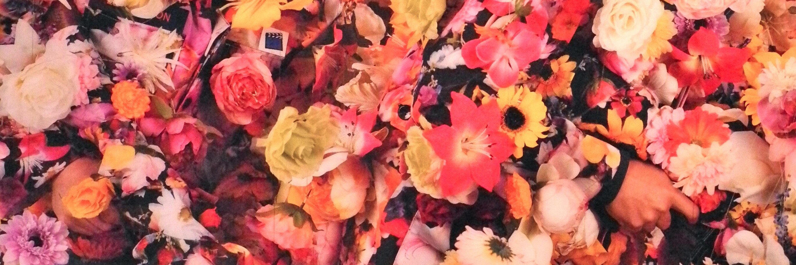 lairepiera's profile banner image