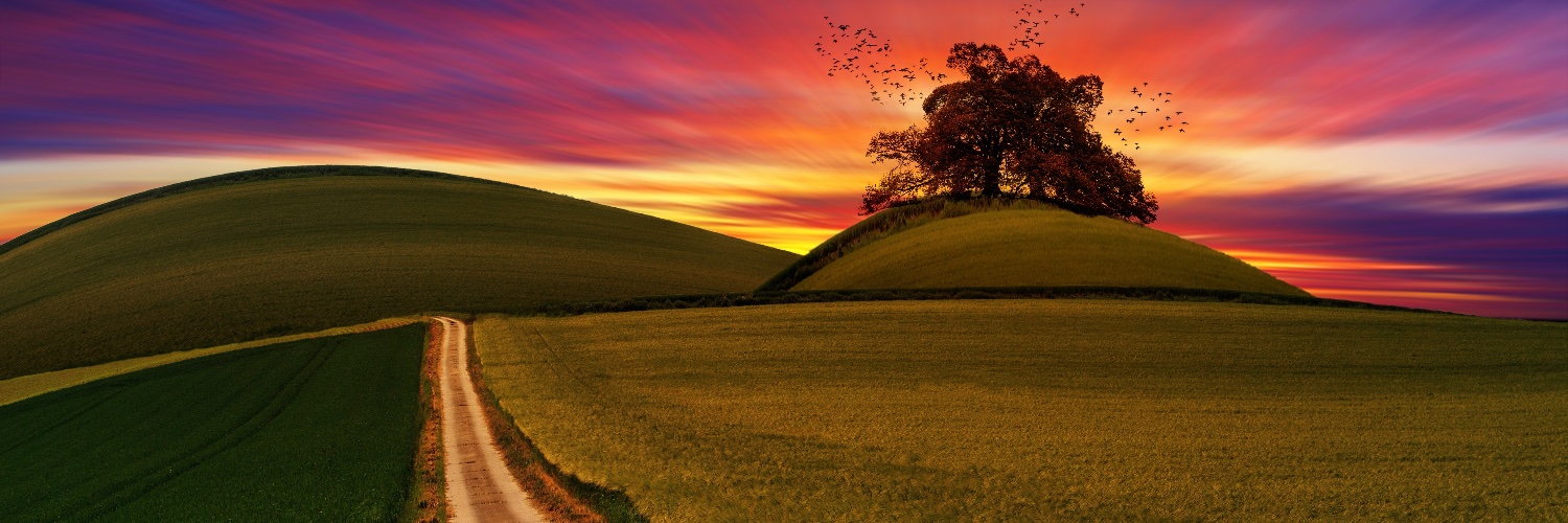 CarerRecovery banner