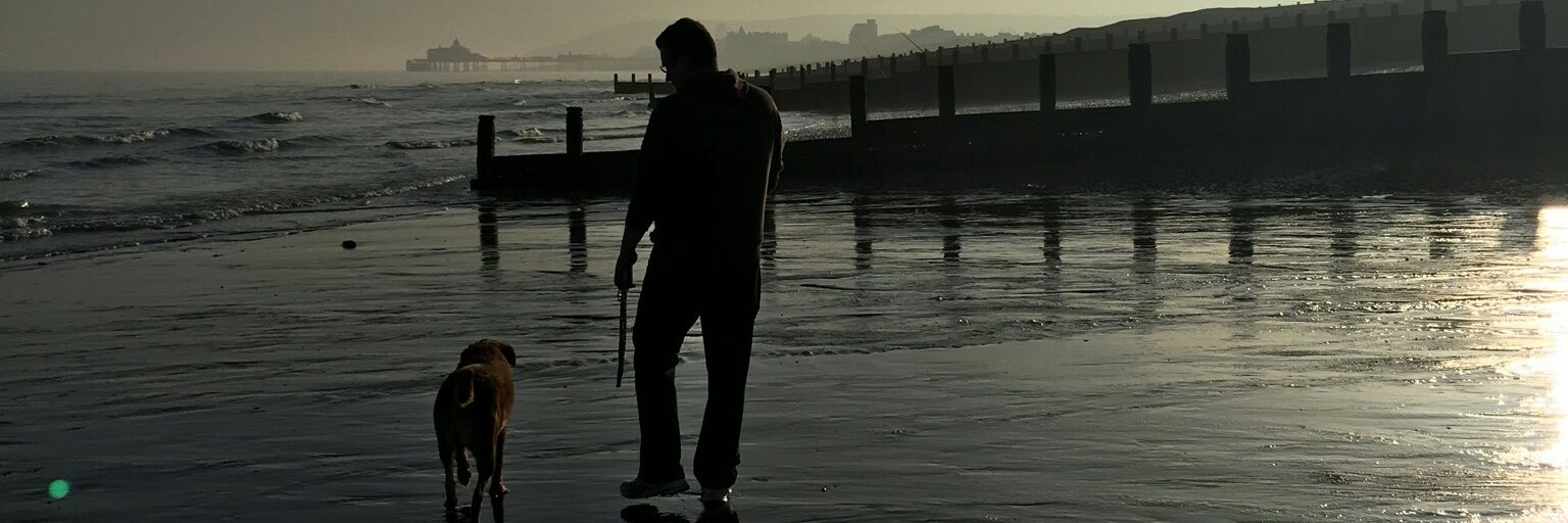 inzi_hackles's profile banner image
