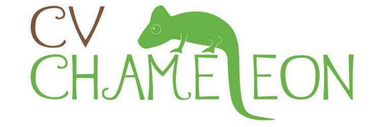 CV_Chameleon's profile banner image