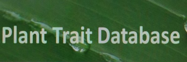 TryPlantTraitDB Profile Banner