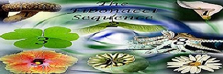 spakkal's profile banner image