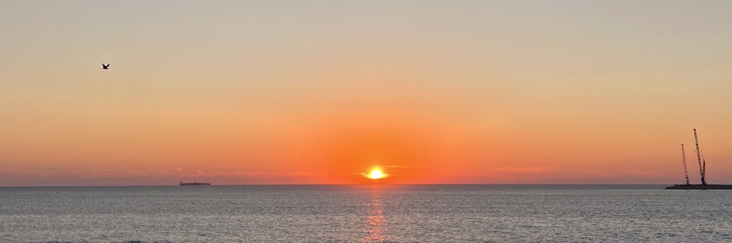 AnitySofia's profile banner image