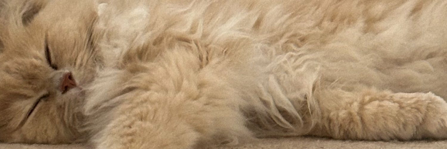 josh banner