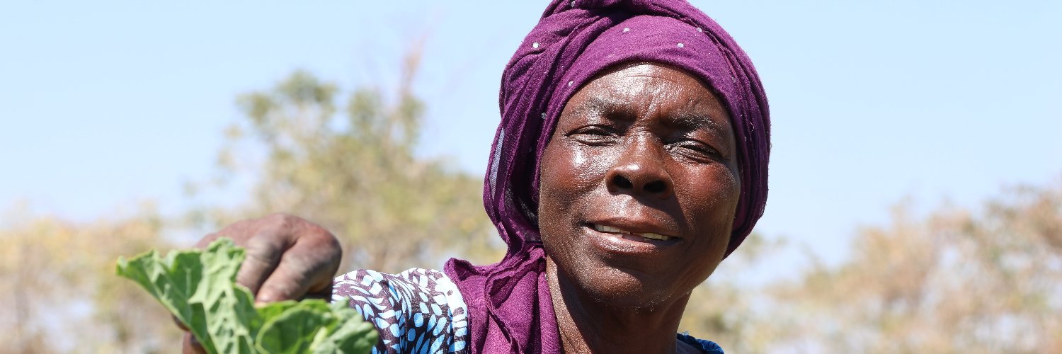 FACT Zimbabwe banner