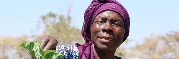 FACTzim Profile Banner