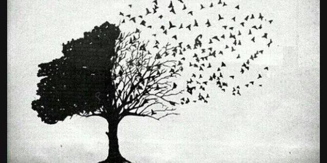 munagintingg's profile banner image