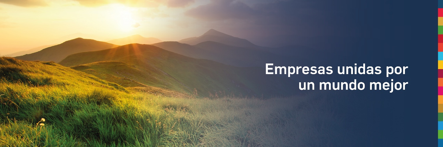 Pacto Global Paraguay banner