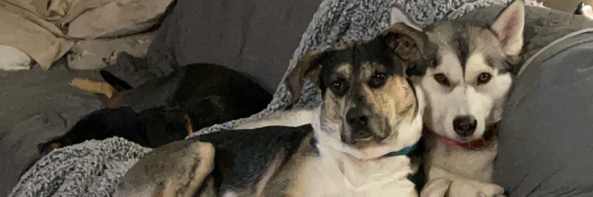 lucybeth2's profile banner image