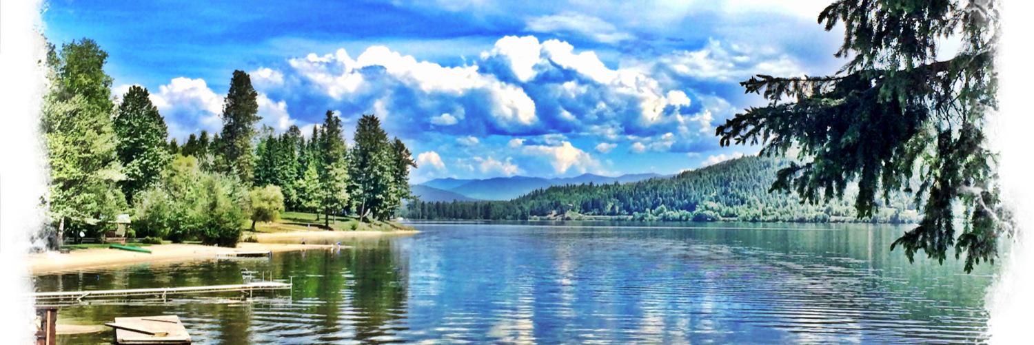 Erinelliottdds's profile banner image