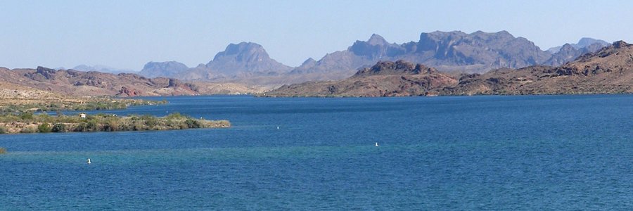 Crew Member Sandy banner