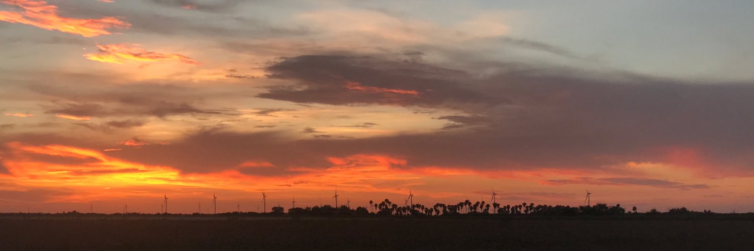 Ms_Guerra7's profile banner image