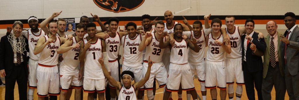 Panther Basketball banner