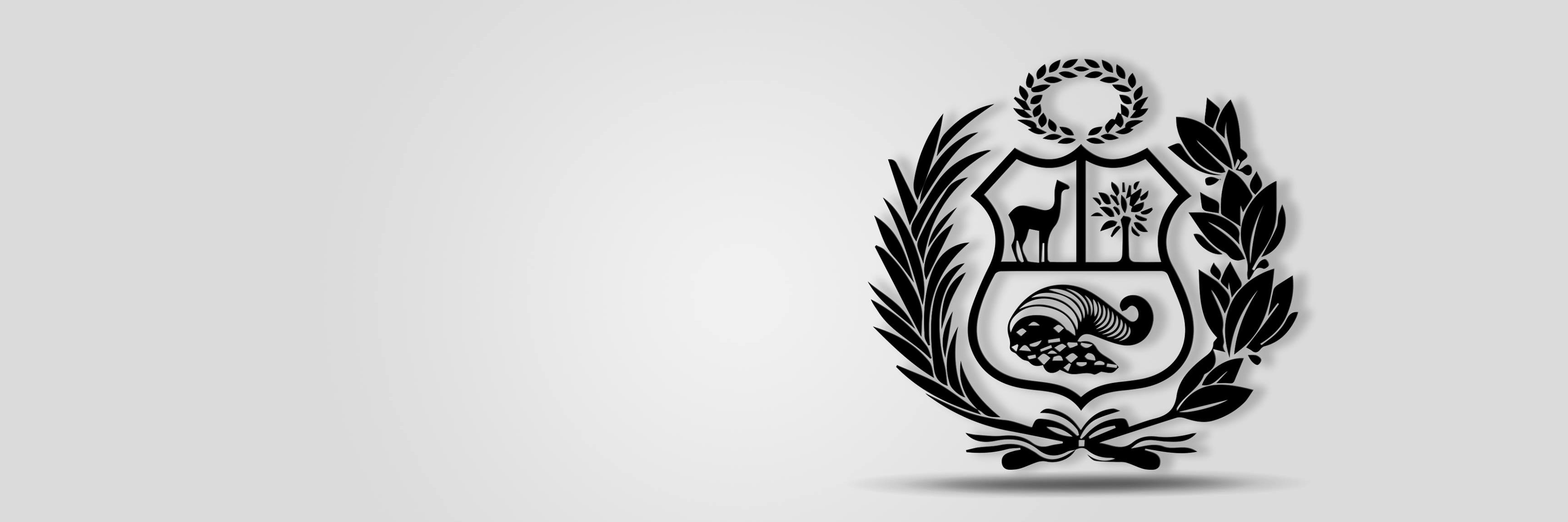 VictorNoriegaC's profile banner image