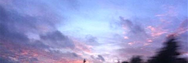 Ariana López banner