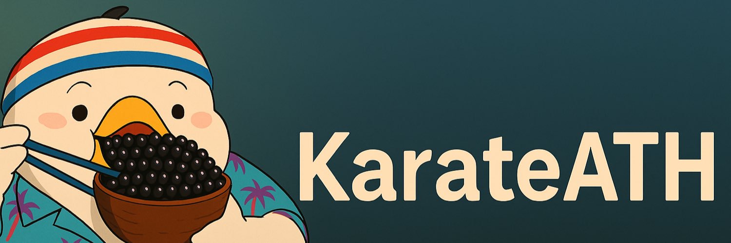 Karate banner