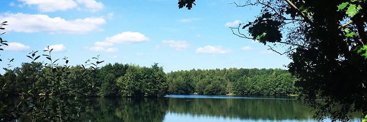 Mindful Everyday banner