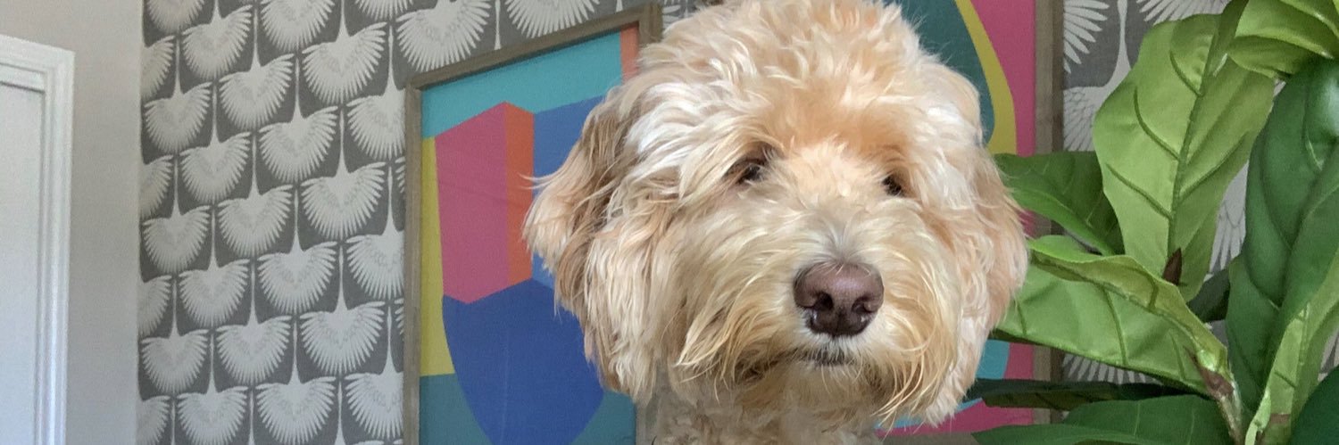 Melanie Hopkins banner