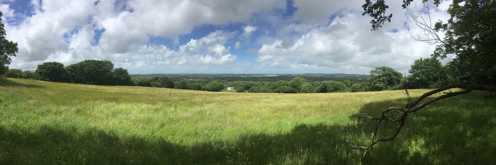 Welsh Homestead banner