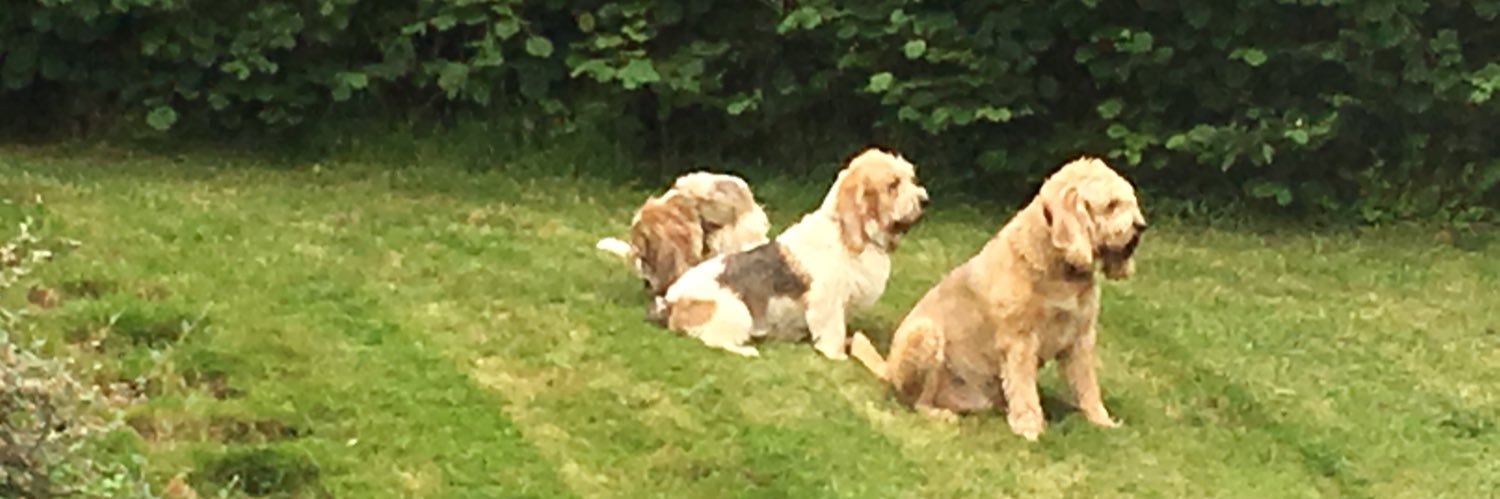 Nick Lester-Davis banner