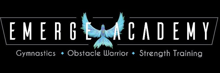 EmergeAcademy's profile banner image