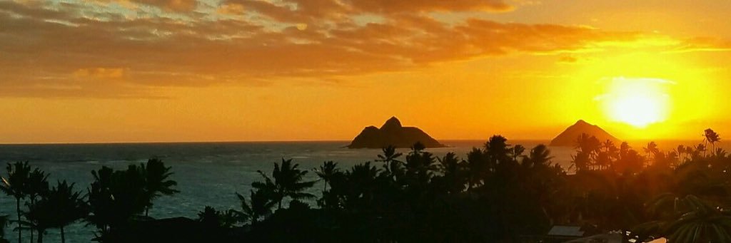 𝐏𝐢𝐧𝐞𝐚𝐩𝐩𝐥𝐞𝟕🍍 banner