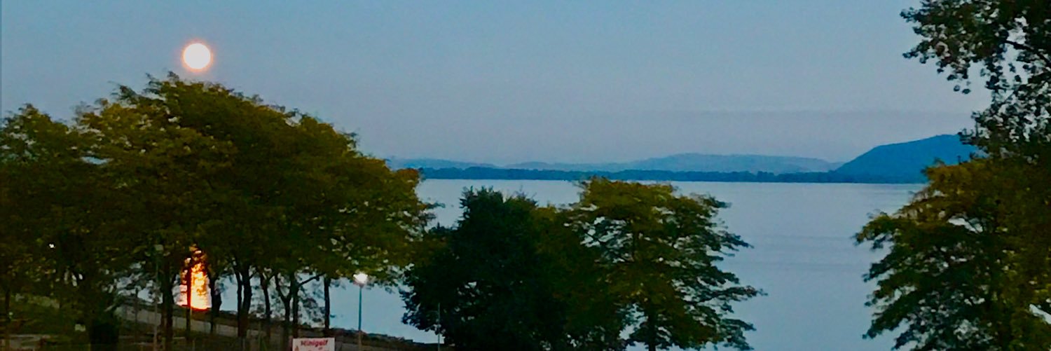 Emma Depledge banner