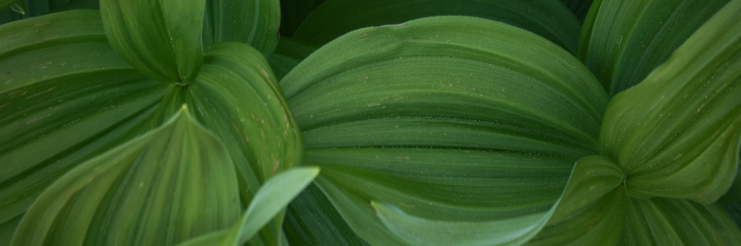 meaa_culpaa's profile banner image