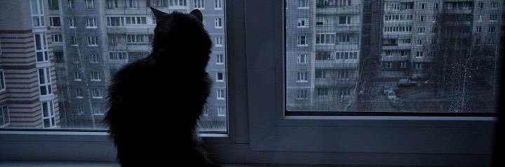 jdybue's profile banner image