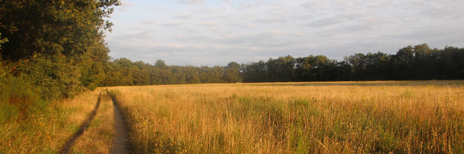 Rona Strawbridge banner