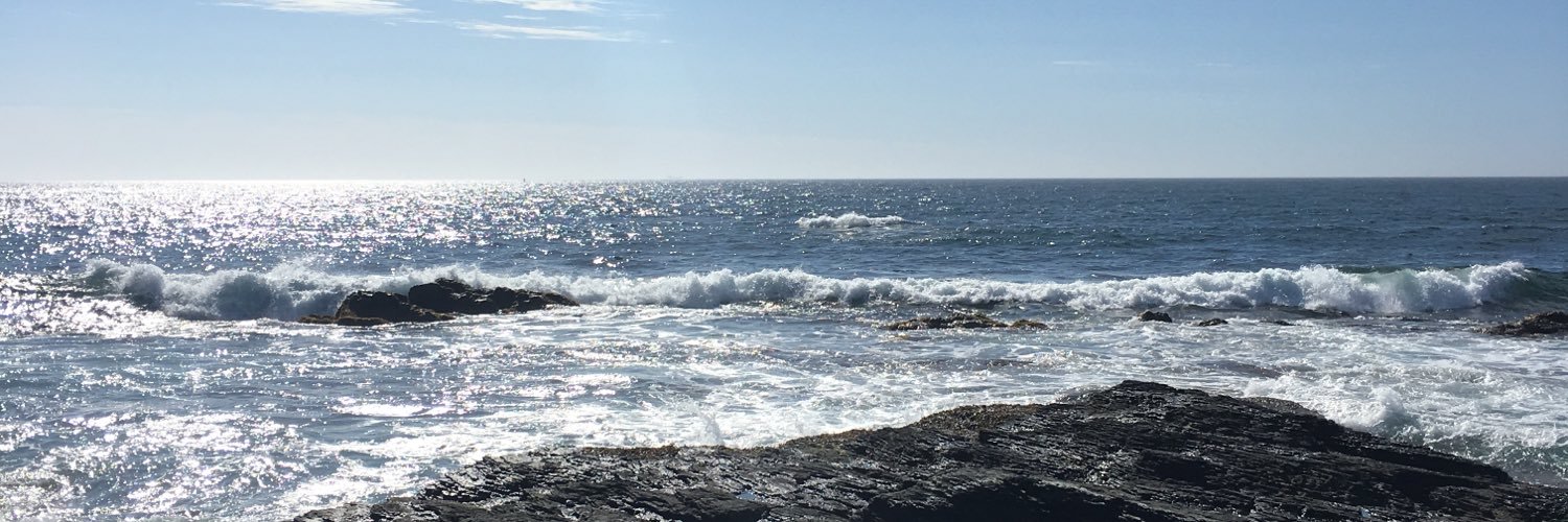 Heather Fountain banner