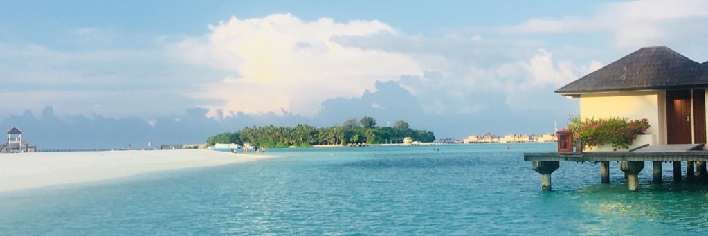 rashee_24's profile banner image