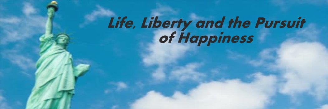 Israel Lives 🇮🇱 banner