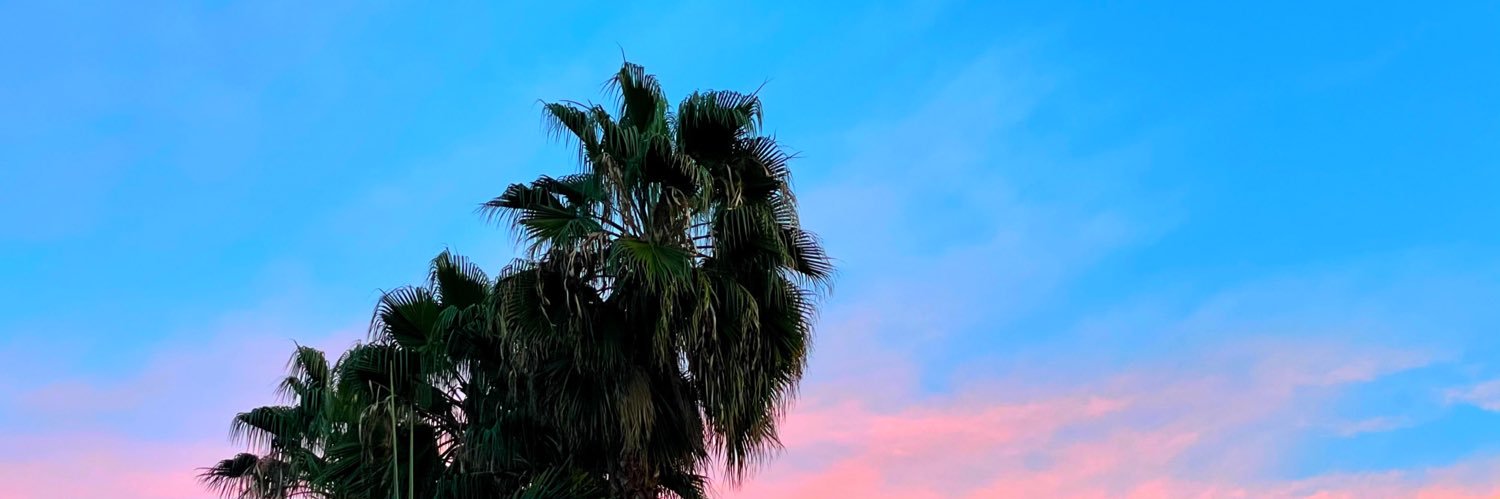 maucupuri's profile banner image