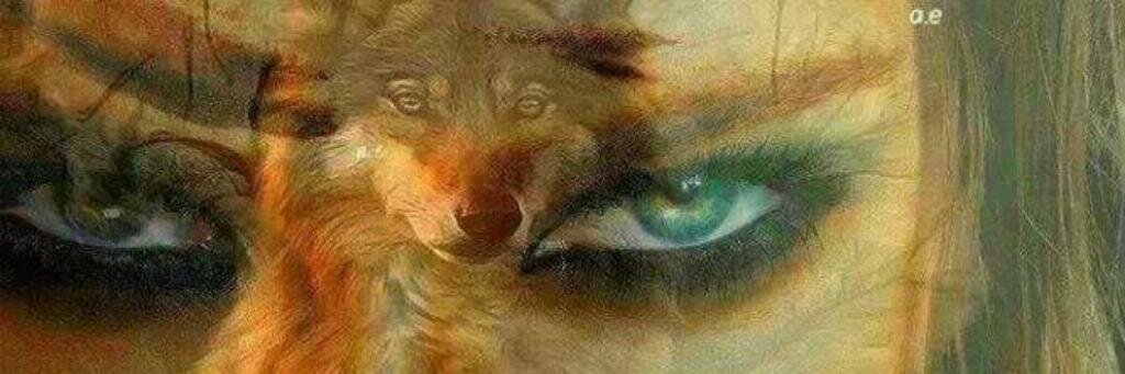 C_e_k_a's profile banner image