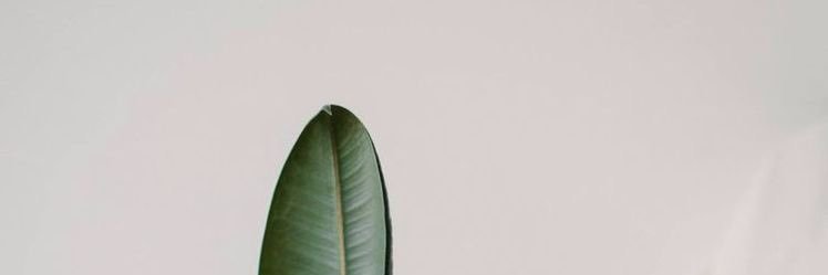 sara_8011's profile banner image