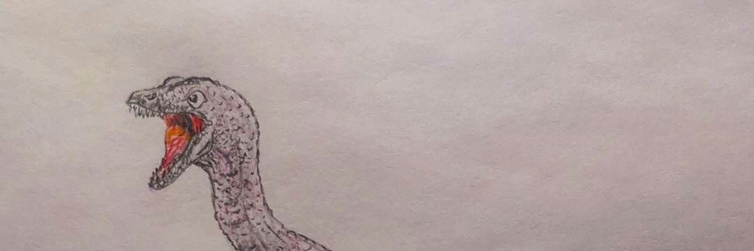 VCalovic's profile banner image