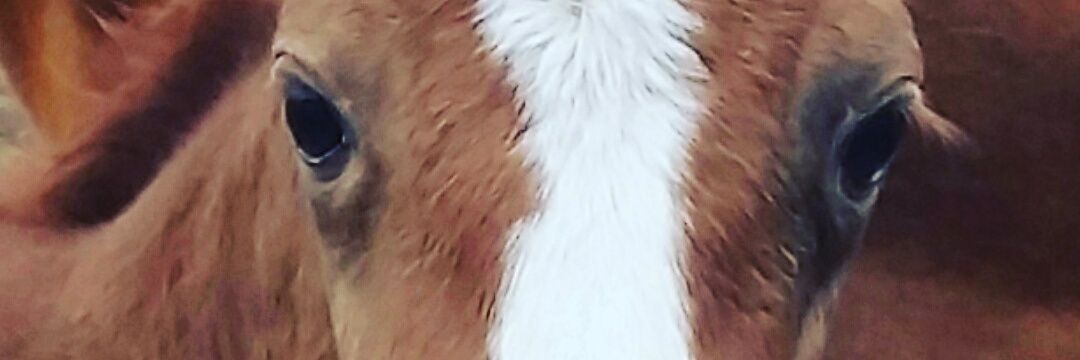 Teeswa71's profile banner image