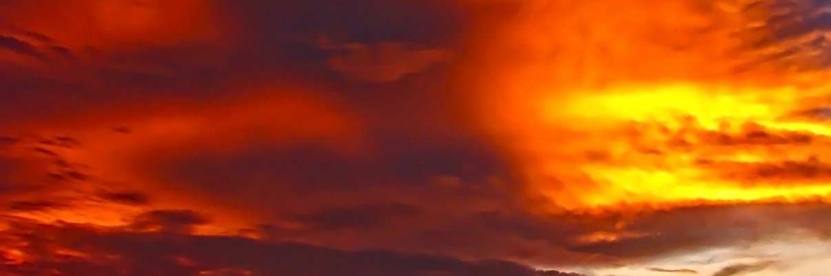 ThePhoenixSong banner