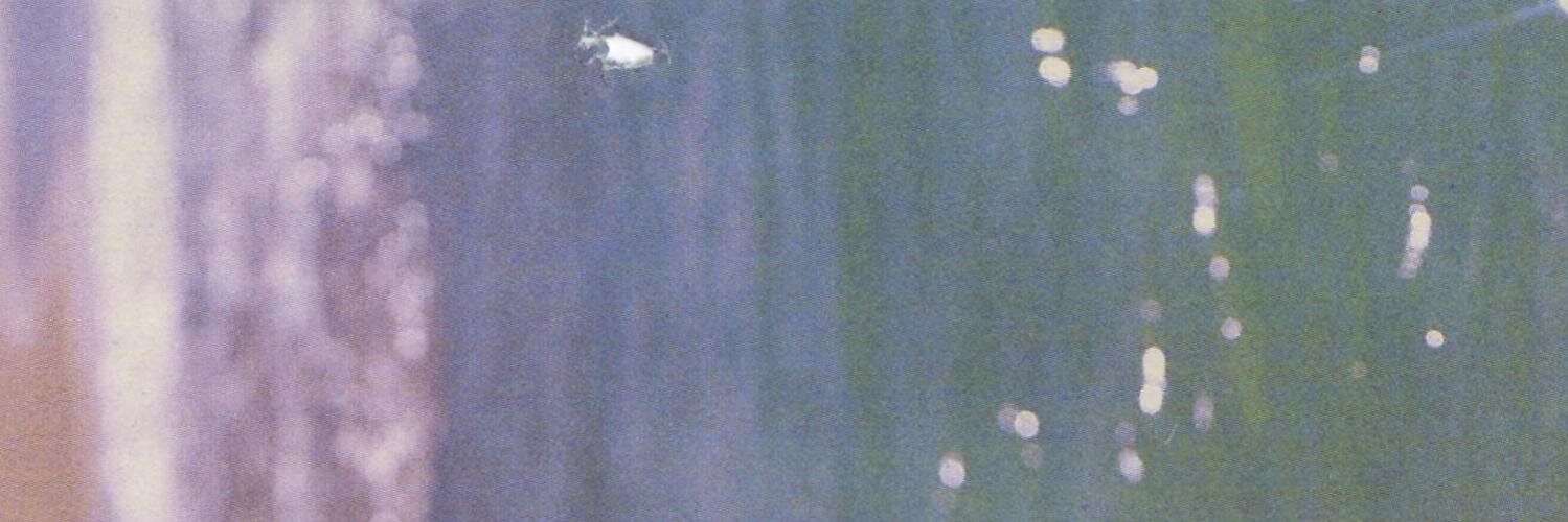 Close To Modern banner