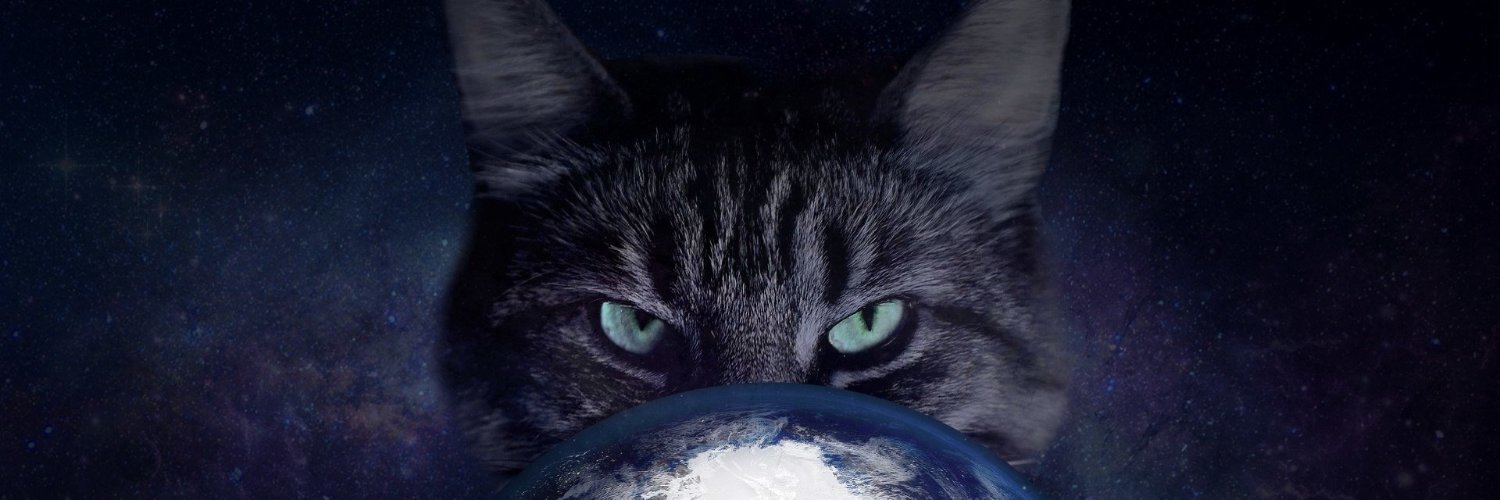 Le_Chat_Cosmic_ banner