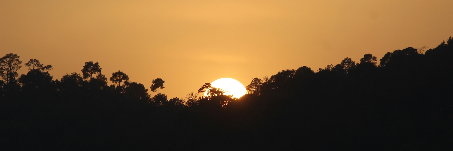 For Their Voice🌱 banner