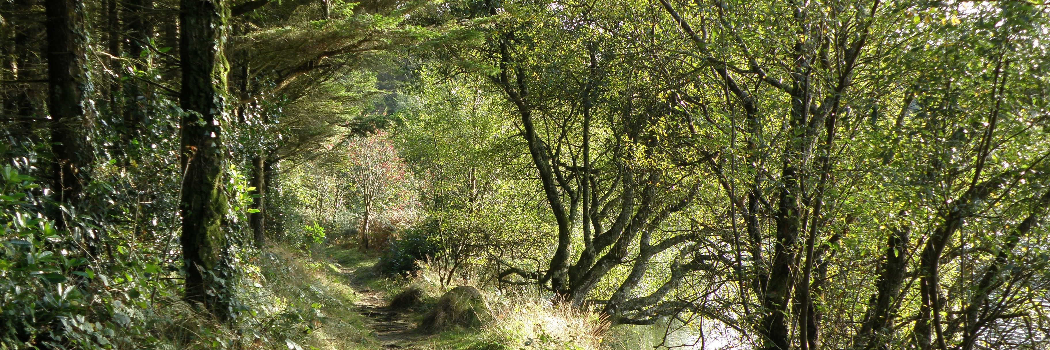 SarahKensingto1's profile banner image