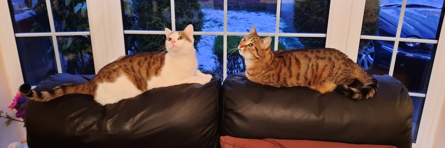 Declan T #FBPE #FPHD 🇮🇪🇪🇺 banner